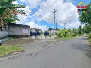 tanah plus gudang di mangir rogojampi banyuwangi