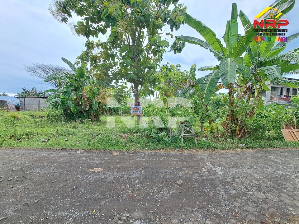 Dijual Tanah Siap Bangun dekat Jl. Lingkar Ketapang – Banyuwangi