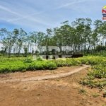 Harga Tanah per Meter di Banyuwangi Kota