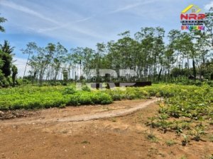 Harga Tanah per Meter di Banyuwangi Kota