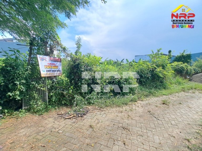 Tanah 513 m² di Kebalenan Banyuwangi Dijual, Lokasi Strategis Dekat Polresta dan Pusat Kota