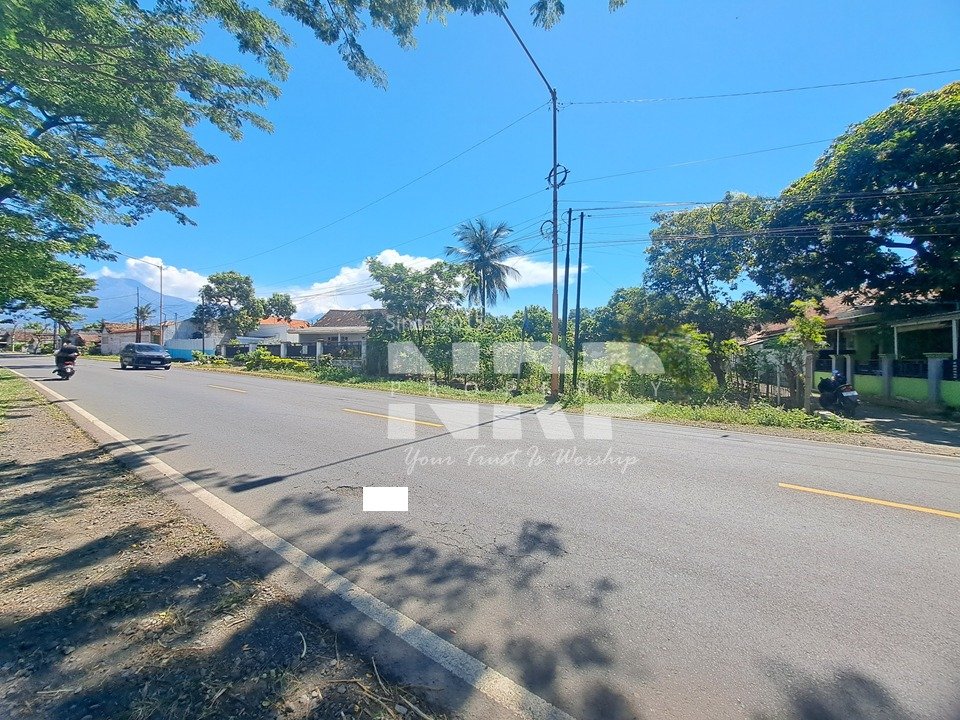Tanah Strategis 1.120 m² di Wongsorejo Banyuwangi Dijual Rp 999 Juta, Tepi Jalan Provinsi