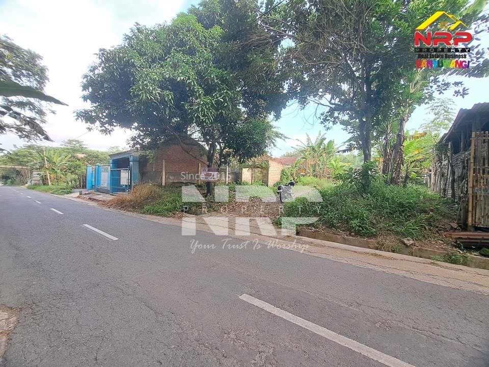 Tanah SHM 710 m² di Tepi Jalan Pendarungan Banyuwangi Dijual, Lokasi Strategis Menuju Kawah Ijen