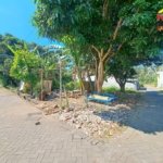 🚨 Tanah 400 m² Dekat Kawasan Hotel Banyuwangi, Cocok Buat Investasi!