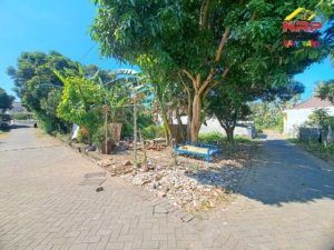 🚨 Tanah 400 m² Dekat Kawasan Hotel Banyuwangi, Cocok Buat Investasi!