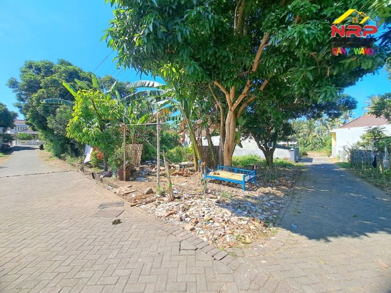🚨 Tanah 400 m² Dekat Kawasan Hotel Banyuwangi, Cocok Buat Investasi!