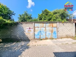 Tanah Murah di Singotrunan Banyuwangi"