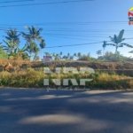 Dijual Tanah Kering 1.195 M² di Jl. Tambong Kabat Banyuwangi, Cocok untuk Investasi