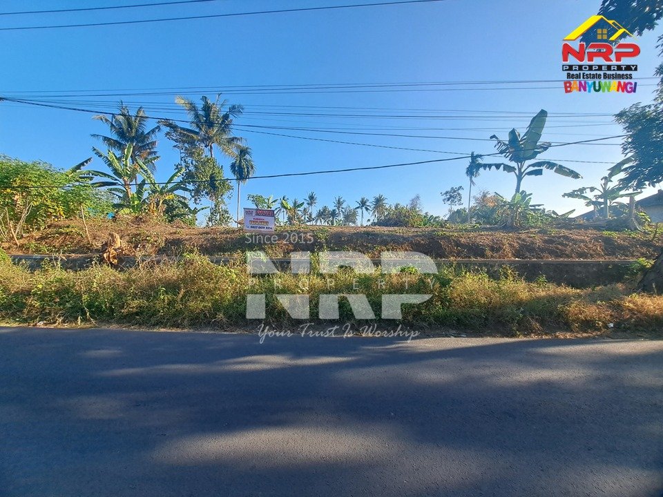 Dijual Tanah Kering 1.195 M² di Jl. Tambong Kabat Banyuwangi, Cocok untuk Investasi