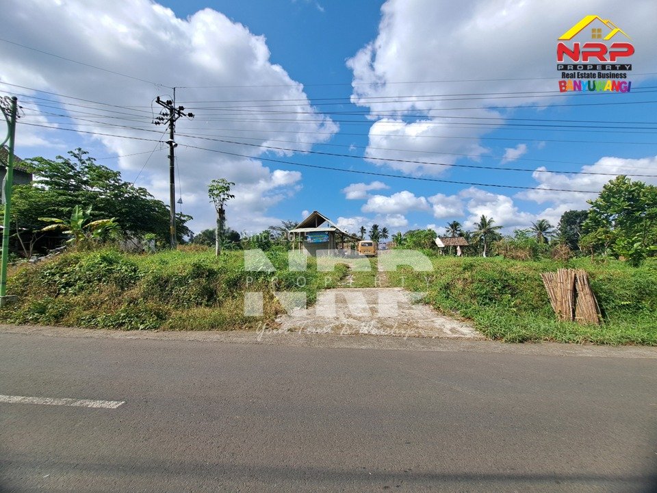Tanah 4.375 Meter Persegi di Kawasan Wisata Tamansuruh Banyuwangi Ditawarkan untuk Investasi