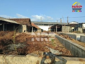 Tanah Strategis Dekat Pantai Muncar Ditawarkan Rp3,5 Miliar