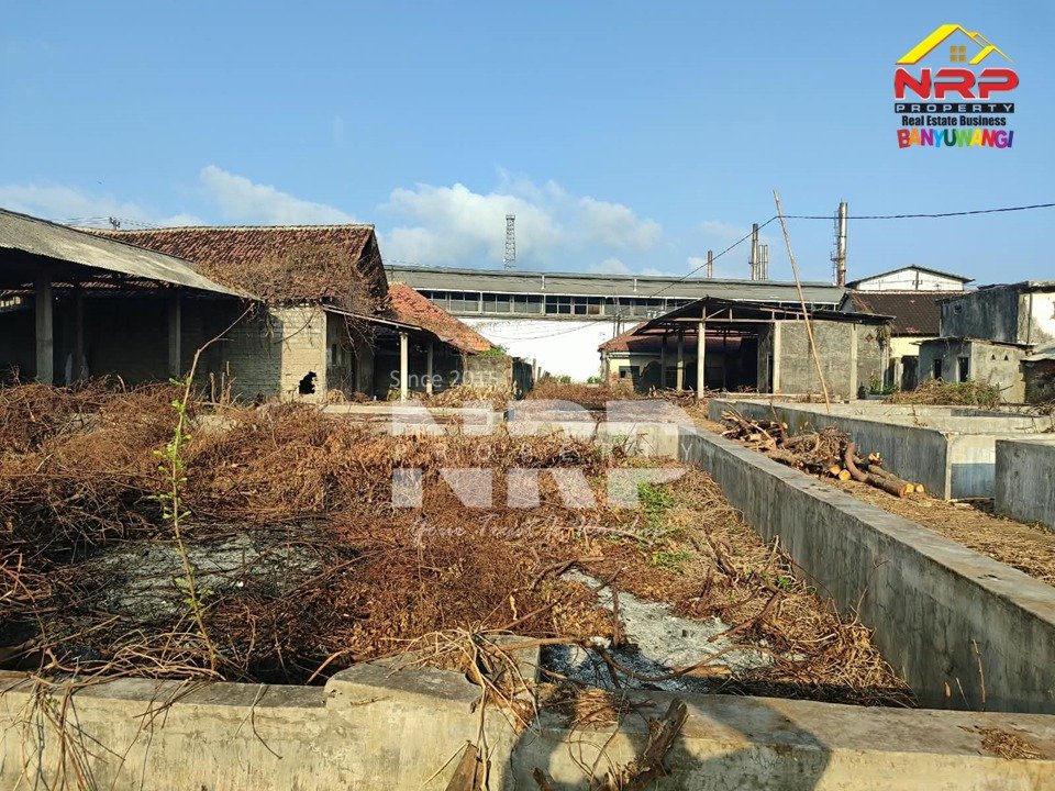 Tanah Strategis Dekat Pantai Muncar Ditawarkan Rp3,5 Miliar